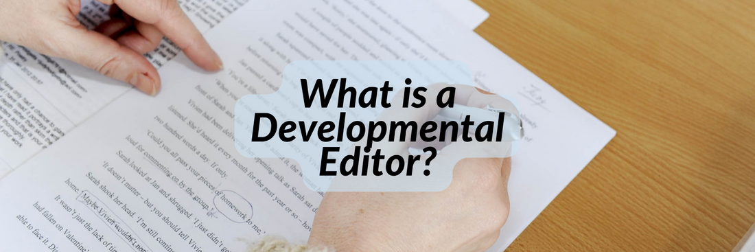 What is a Developmental Edit?