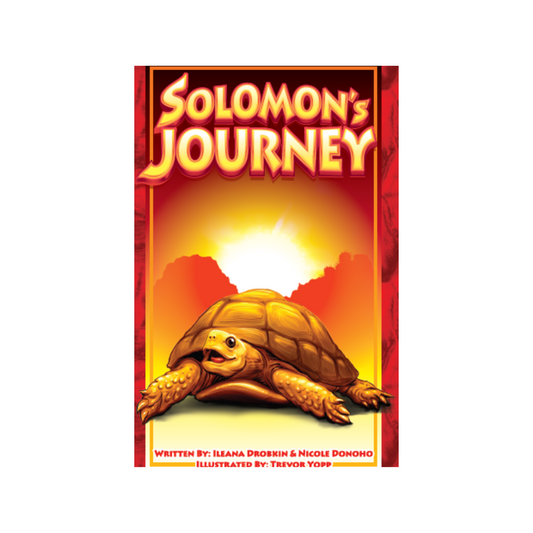 Solomon's Journey